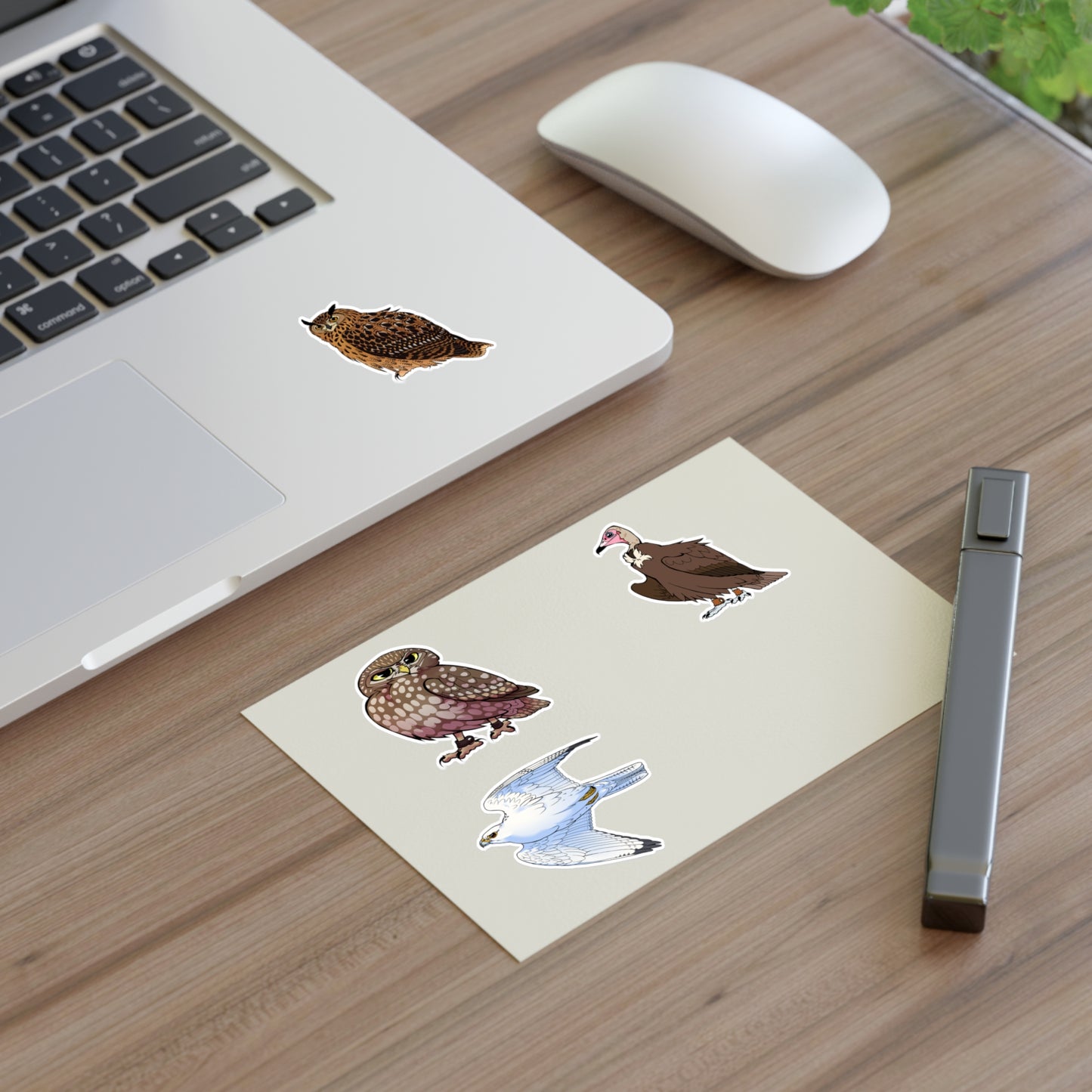 SMJ Falconry Sticker Sheets (Eagle Owl, Hooded Vulture, Little Owl and Gyr Falcon) Nameless