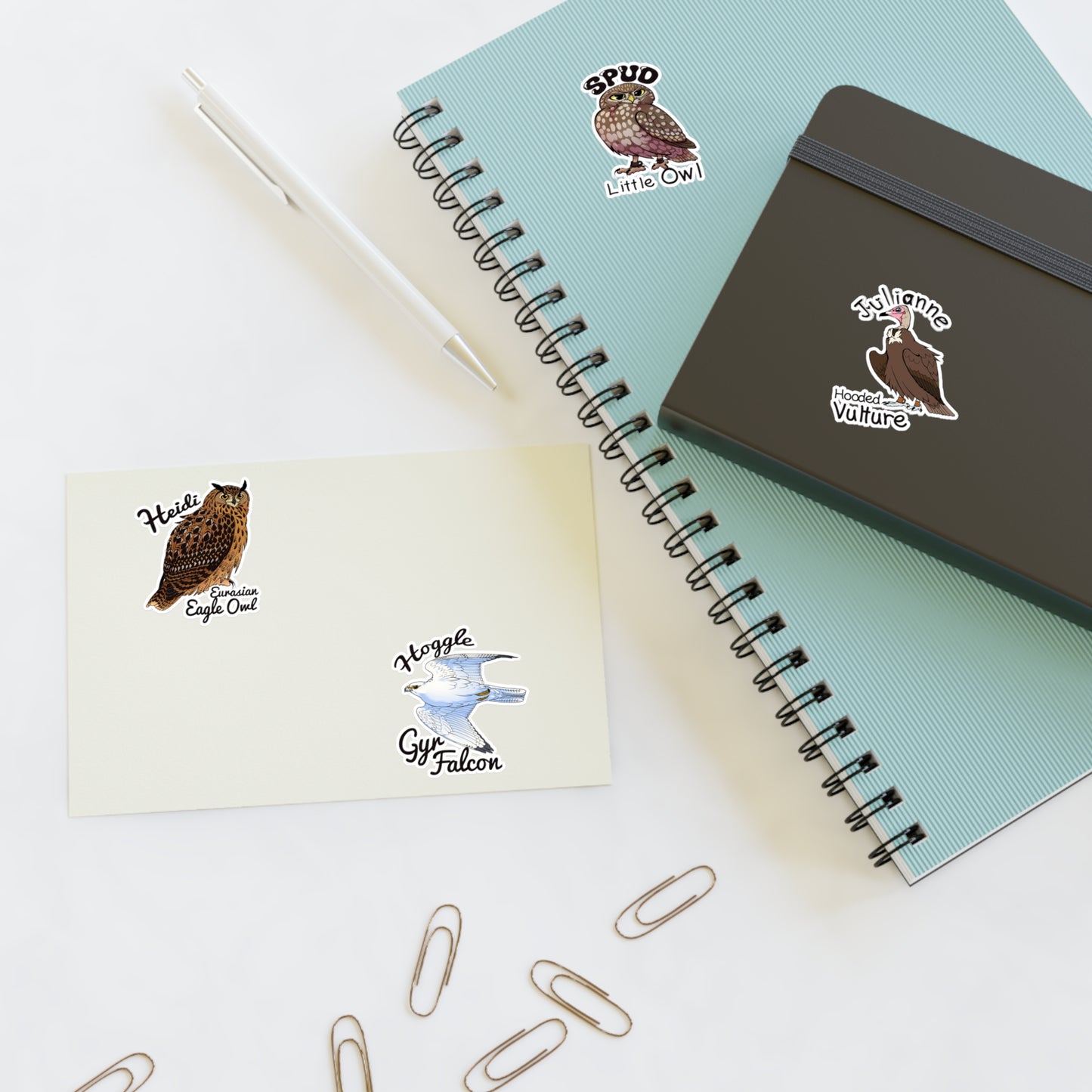 SMJ Falconry Sticker Sheets (Eagle Owl, Hooded Vulture, Little Owl and Gyr Falcon)