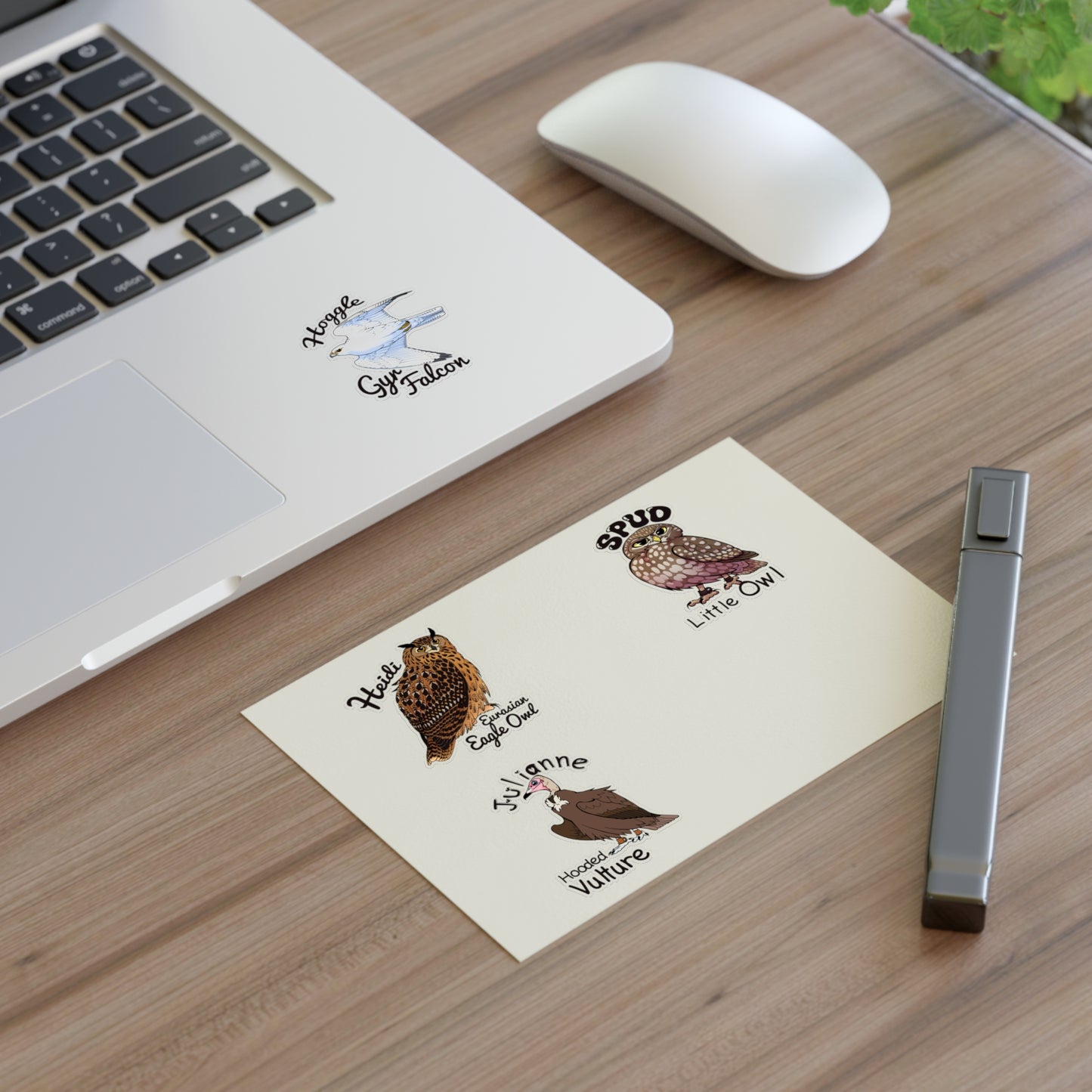 SMJ Falconry Sticker Sheets (Eagle Owl, Hooded Vulture, Little Owl and Gyr Falcon)