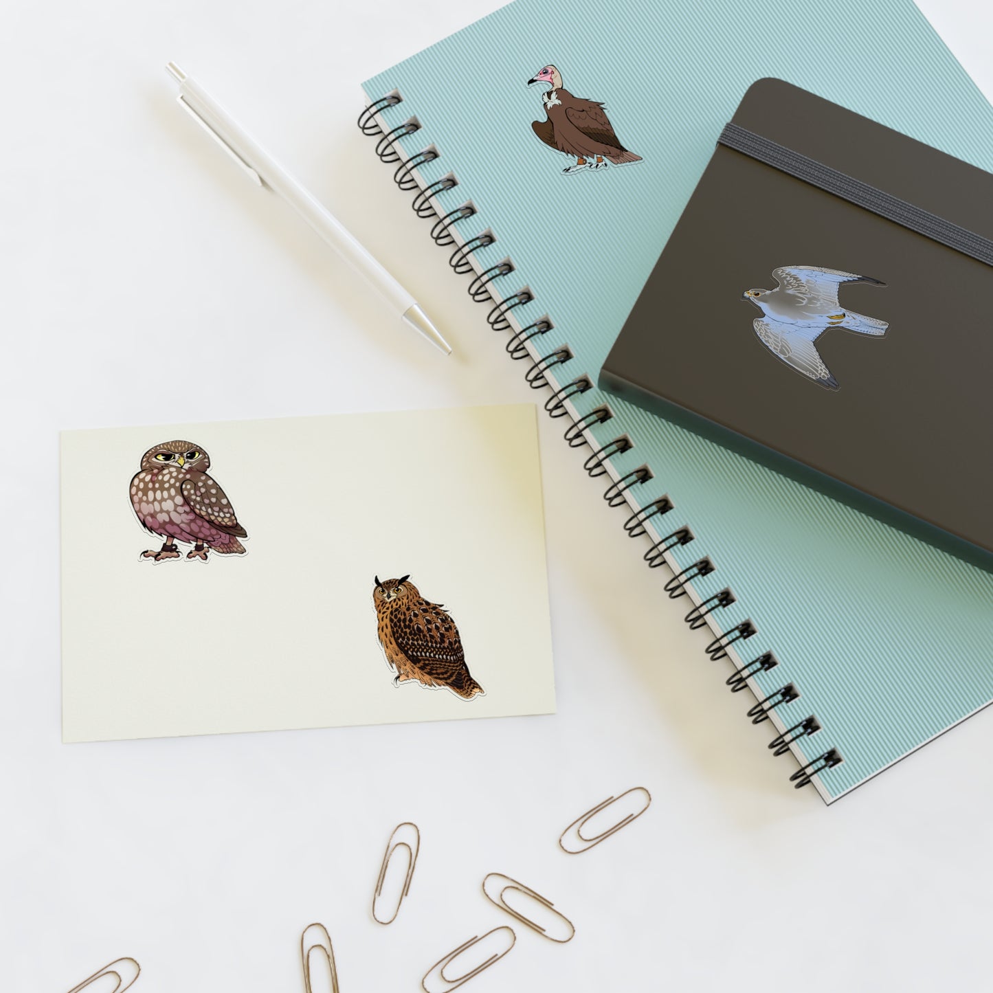 SMJ Falconry Sticker Sheets (Eagle Owl, Hooded Vulture, Little Owl and Gyr Falcon) Nameless
