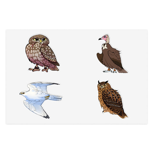 SMJ Falconry Sticker Sheets (Eagle Owl, Hooded Vulture, Little Owl and Gyr Falcon) Nameless