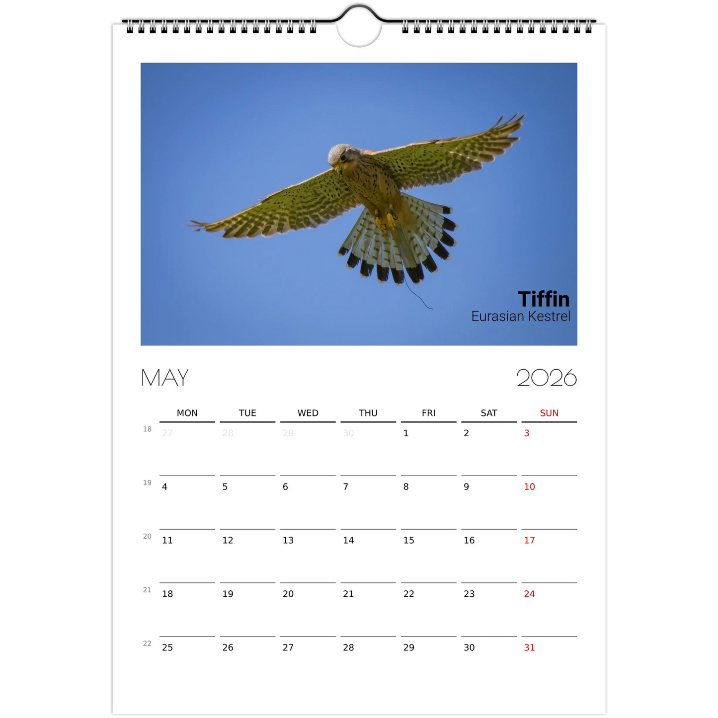 20bab96c-bd64-4a15-b424-9611e523dfd5