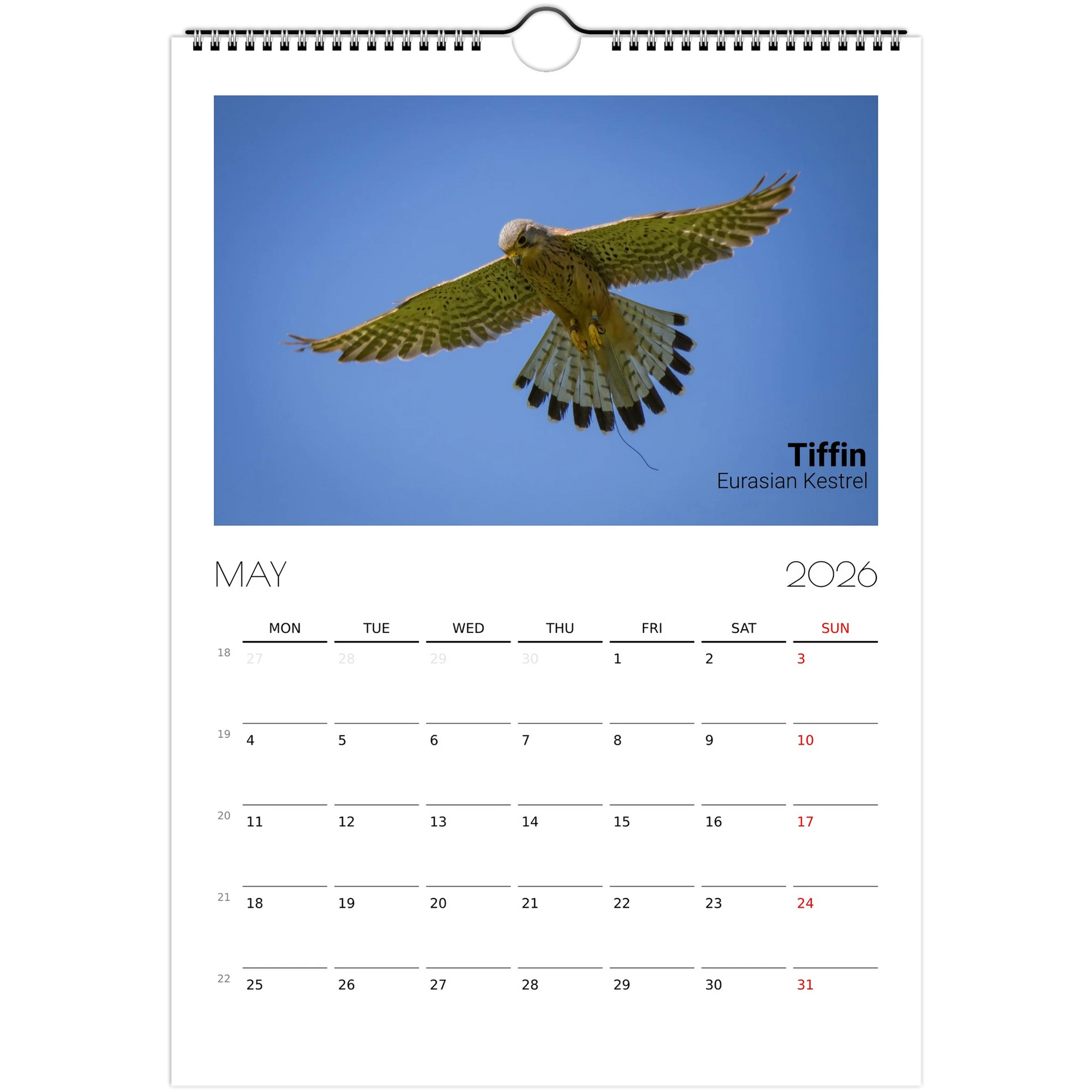 20bab96c-bd64-4a15-b424-9611e523dfd5