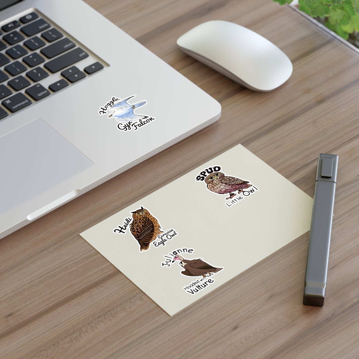 SMJ Falconry Sticker Sheets (Eagle Owl, Hooded Vulture, Little Owl and Gyr Falcon)