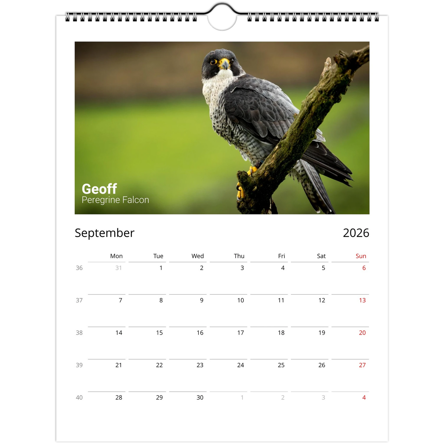 232fcf0b-727d-4c75-bb4e-549fa6859916