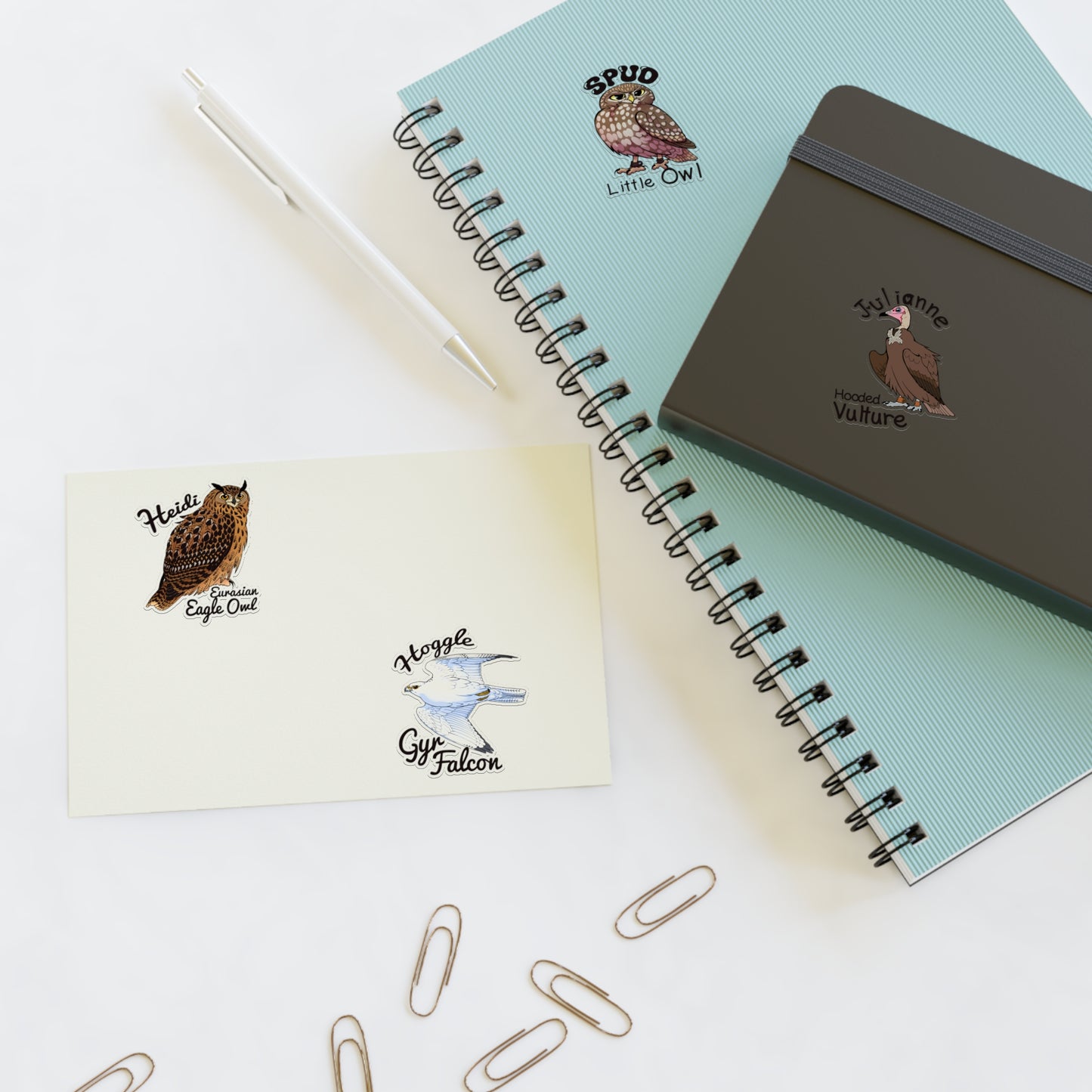 SMJ Falconry Sticker Sheets (Eagle Owl, Hooded Vulture, Little Owl and Gyr Falcon)