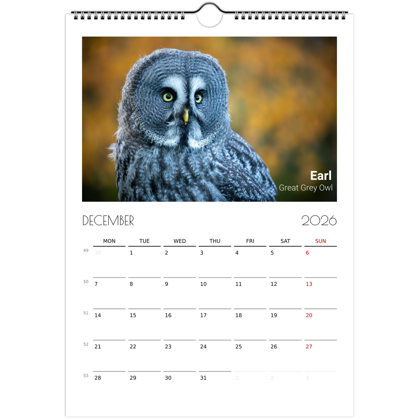 35b15b58-0e95-42eb-be6a-4ee685ee440c