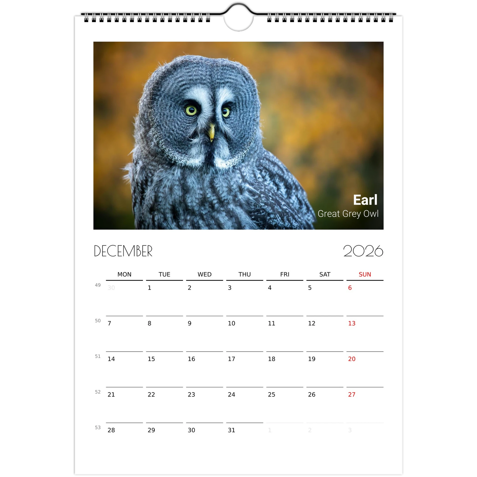 35b15b58-0e95-42eb-be6a-4ee685ee440c