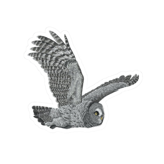 Earl - Great Grey Owl Kiss-cut Stickers! (SMJ Falconry)