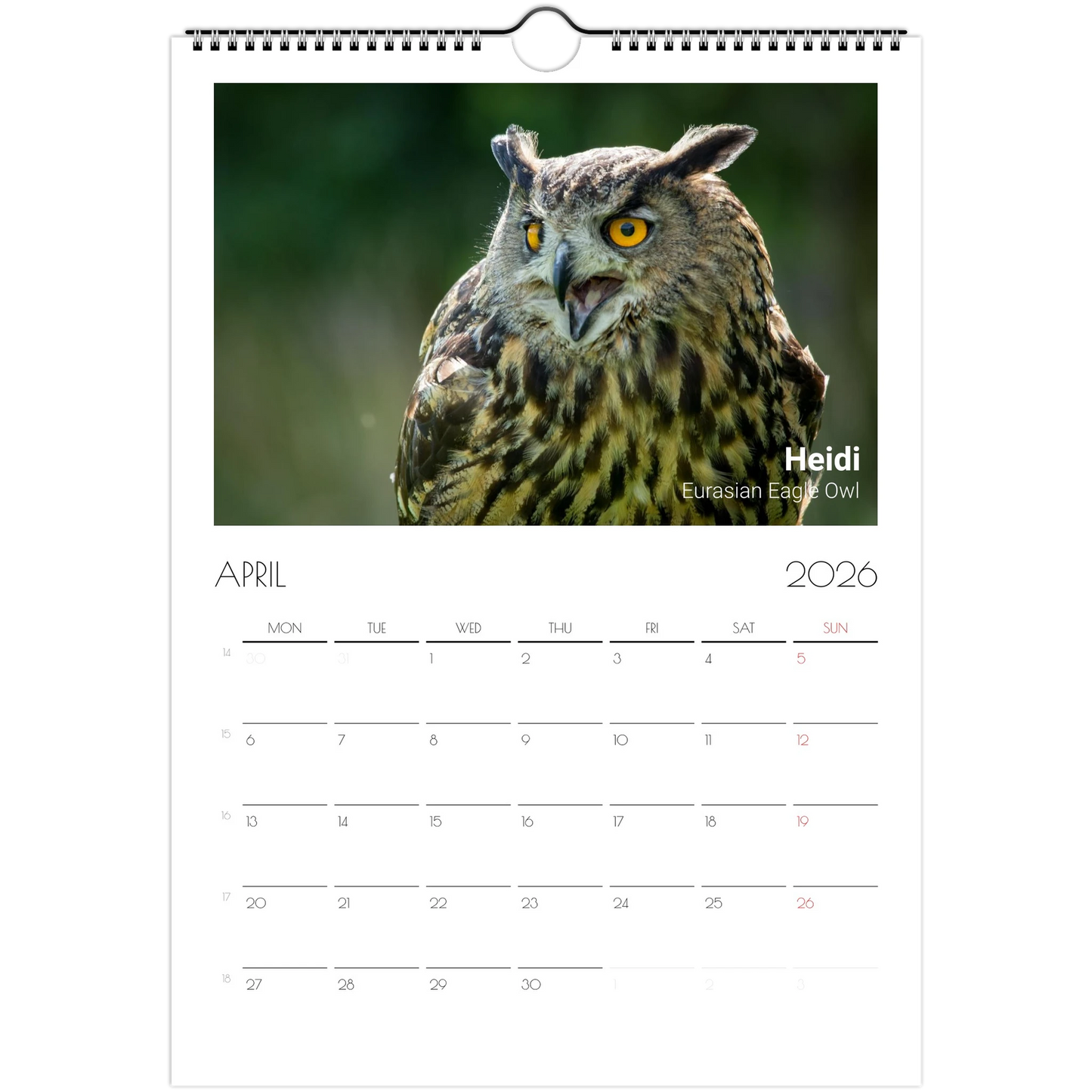 3987a919-5d7b-4dfa-8060-c765d382756a