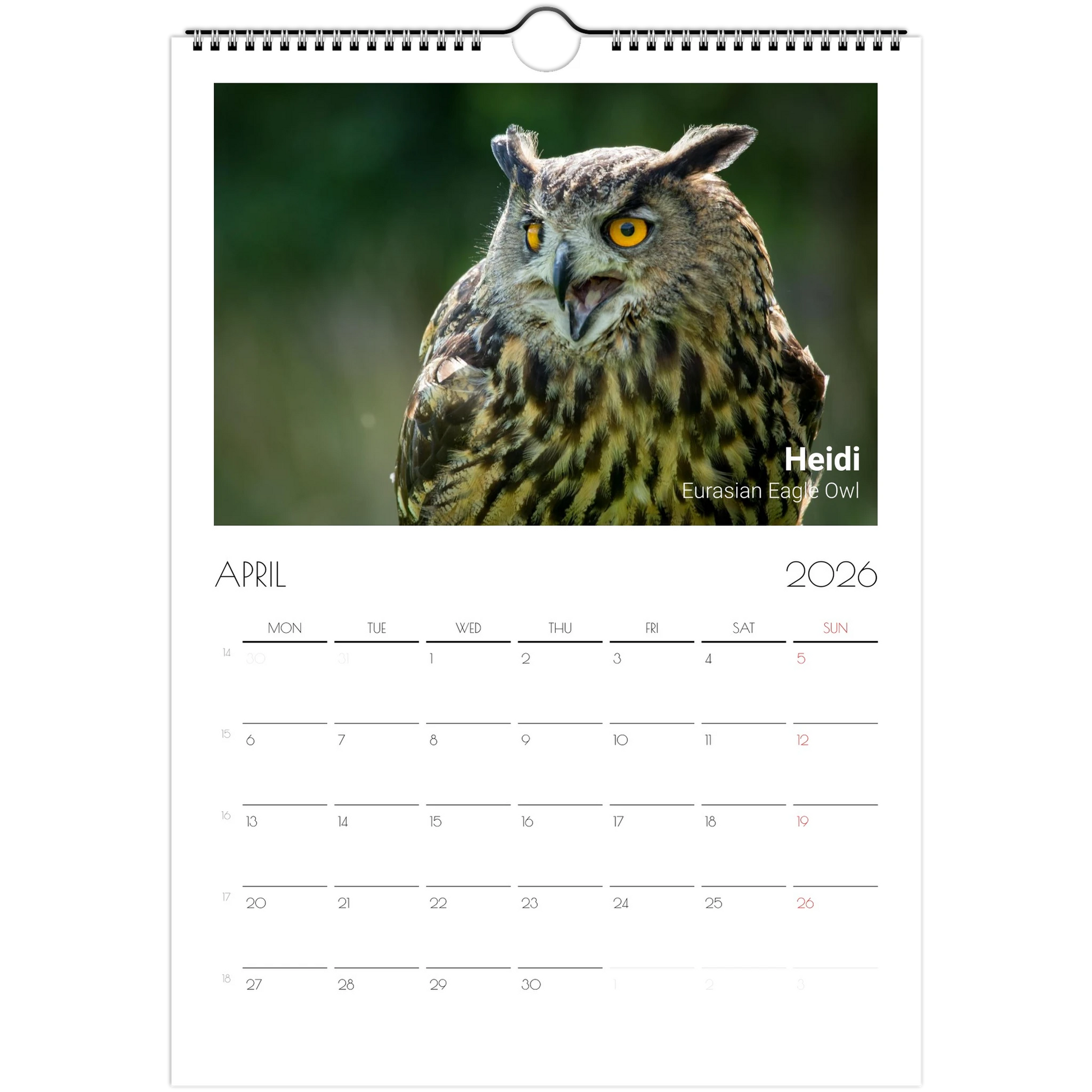 3987a919-5d7b-4dfa-8060-c765d382756a