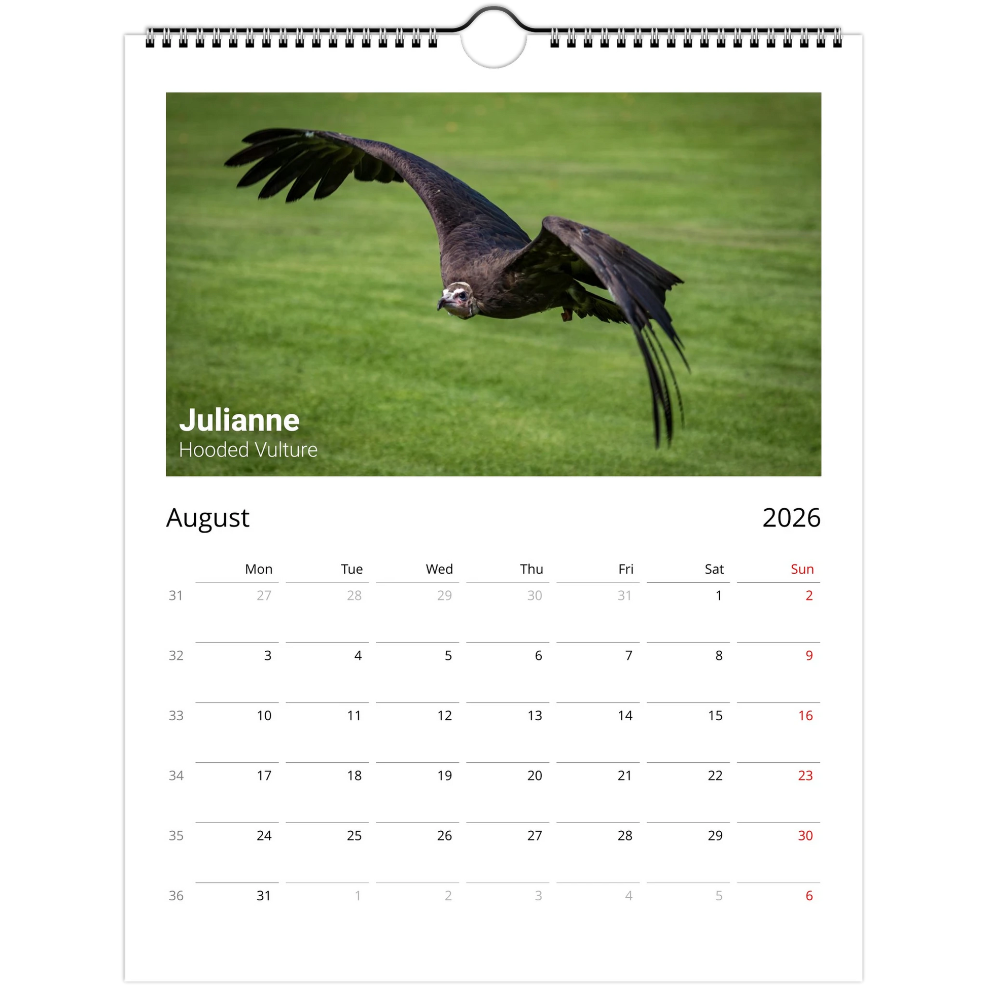 3d15f38d-3283-4aac-b7bd-9a7aa1119f91