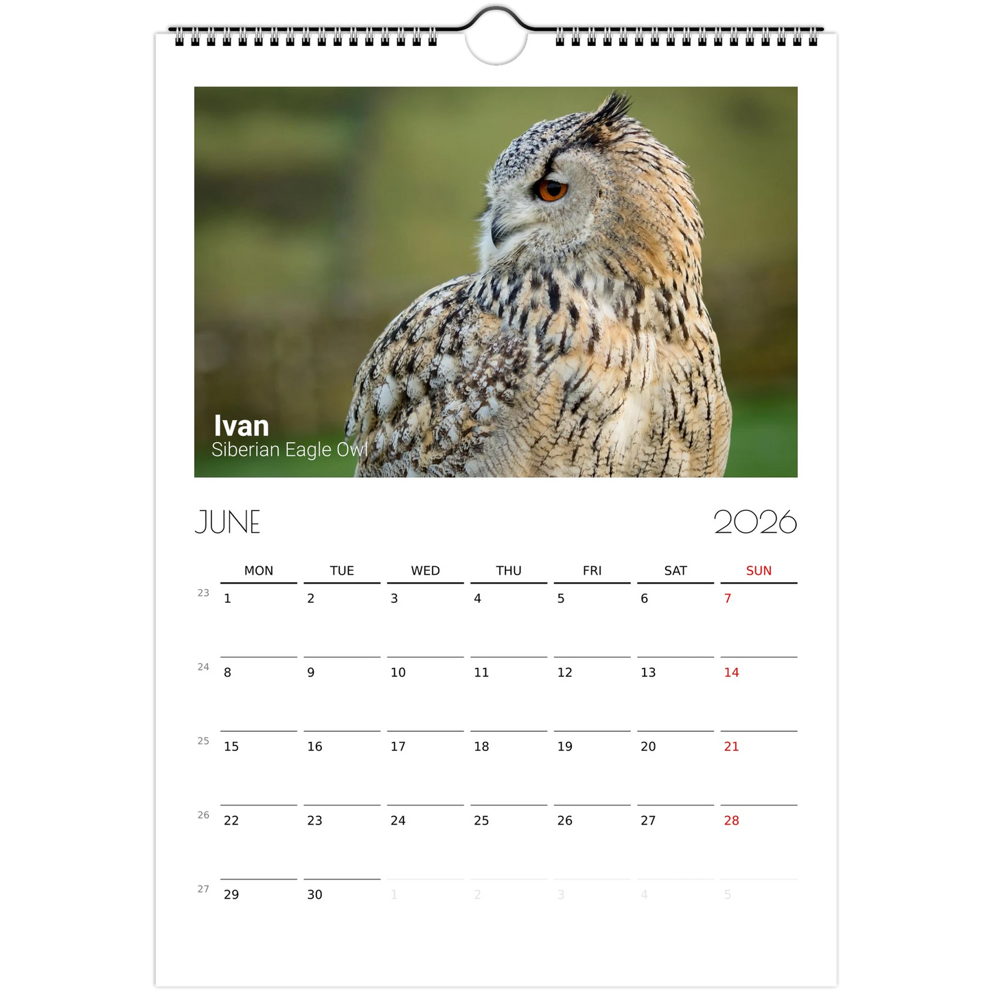 46253607-a04d-40bf-bdfd-5d92745a6d8e