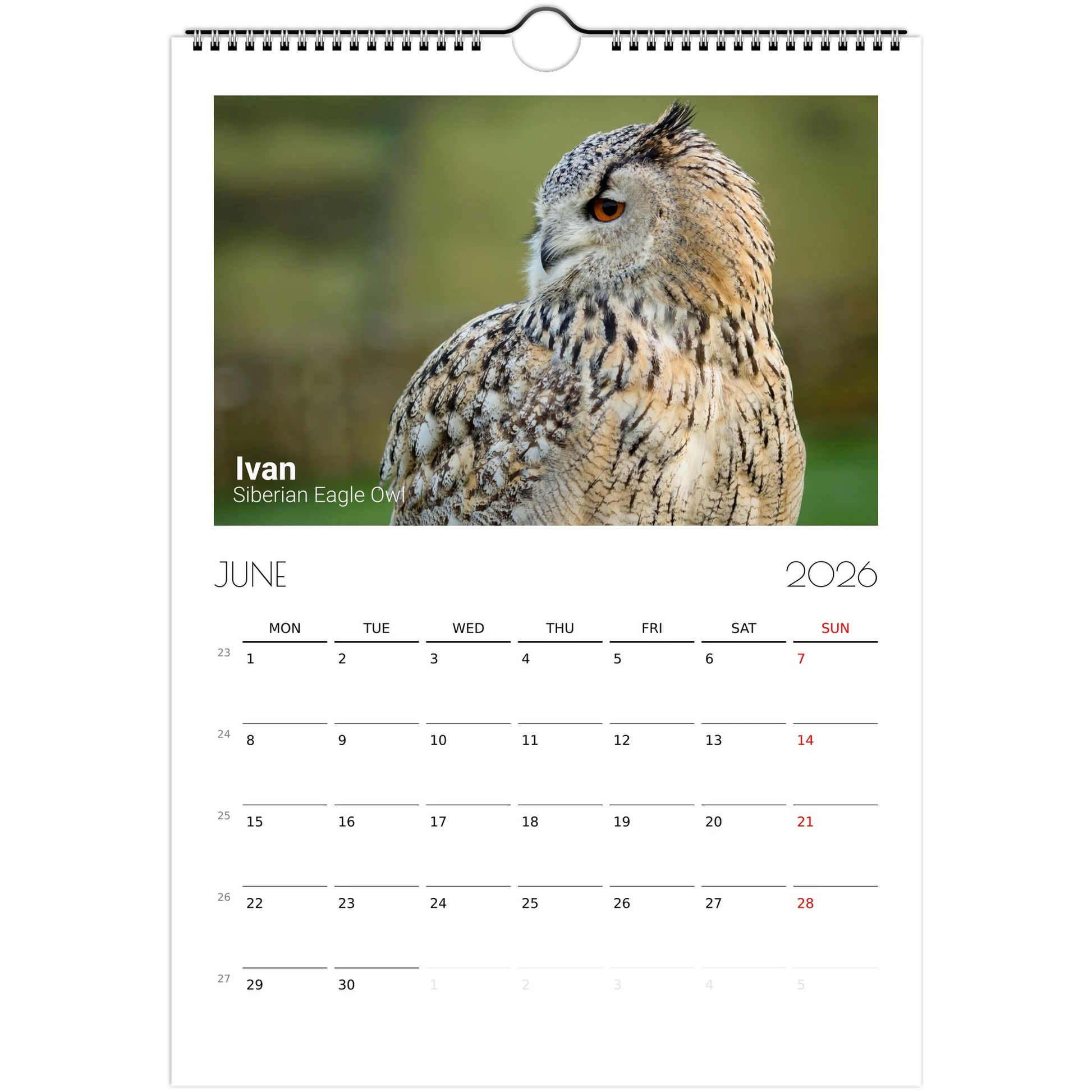 46253607-a04d-40bf-bdfd-5d92745a6d8e