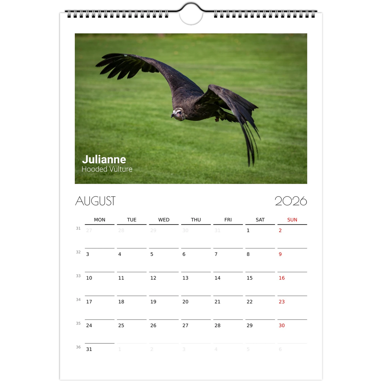 4b300055-de25-4859-943a-a6ff1ae650b6