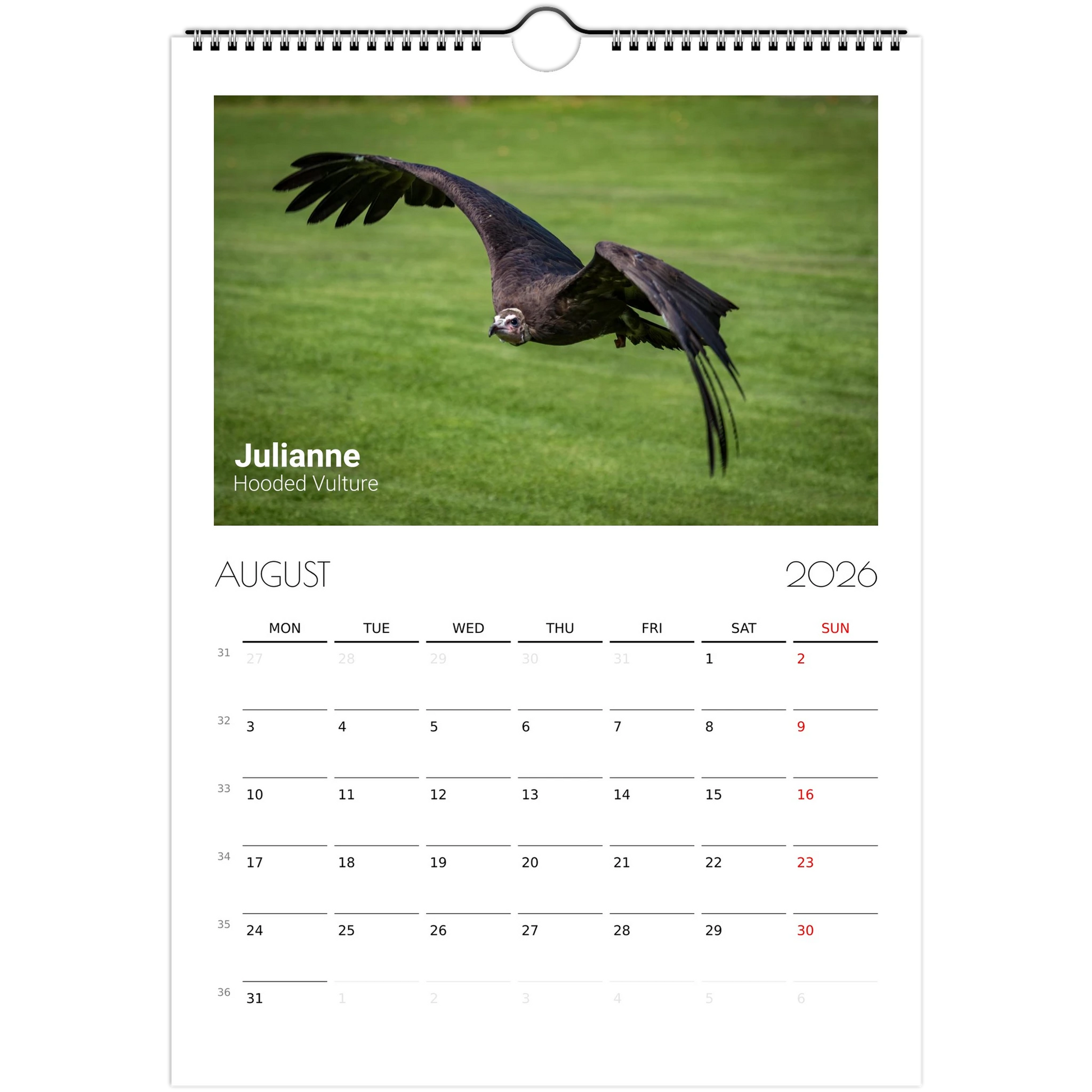 4b300055-de25-4859-943a-a6ff1ae650b6