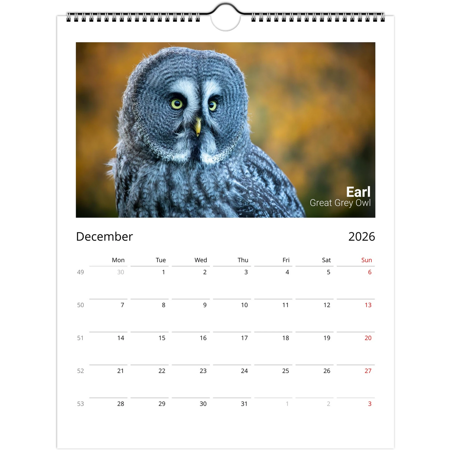 515d6e68-5063-4efa-982a-f1341241e356