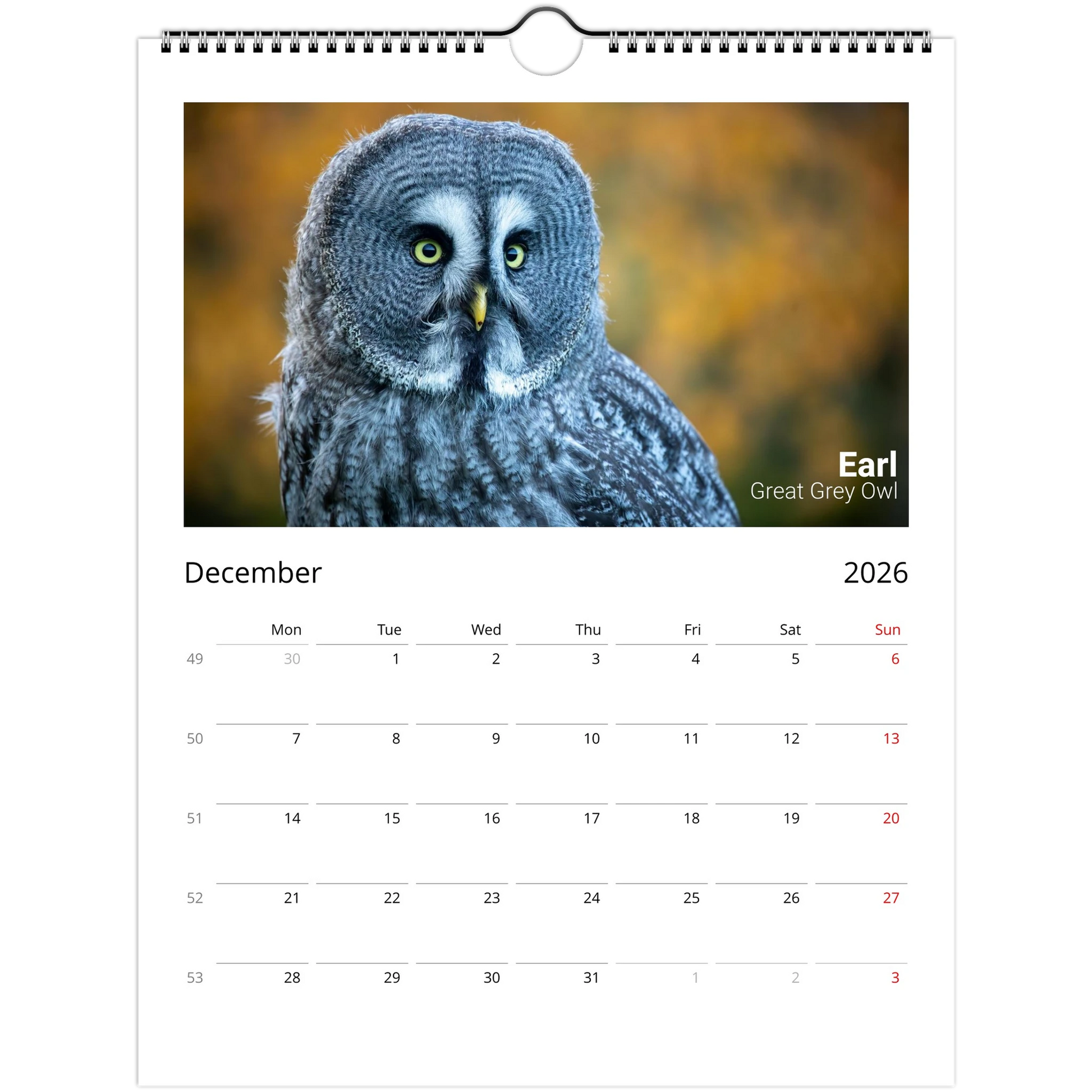 515d6e68-5063-4efa-982a-f1341241e356