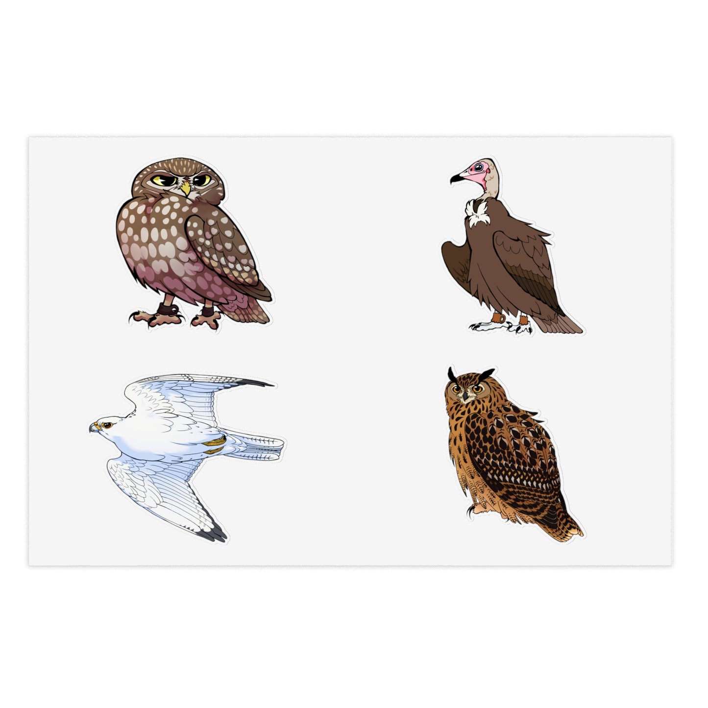SMJ Falconry Sticker Sheets (Eagle Owl, Hooded Vulture, Little Owl and Gyr Falcon) Nameless