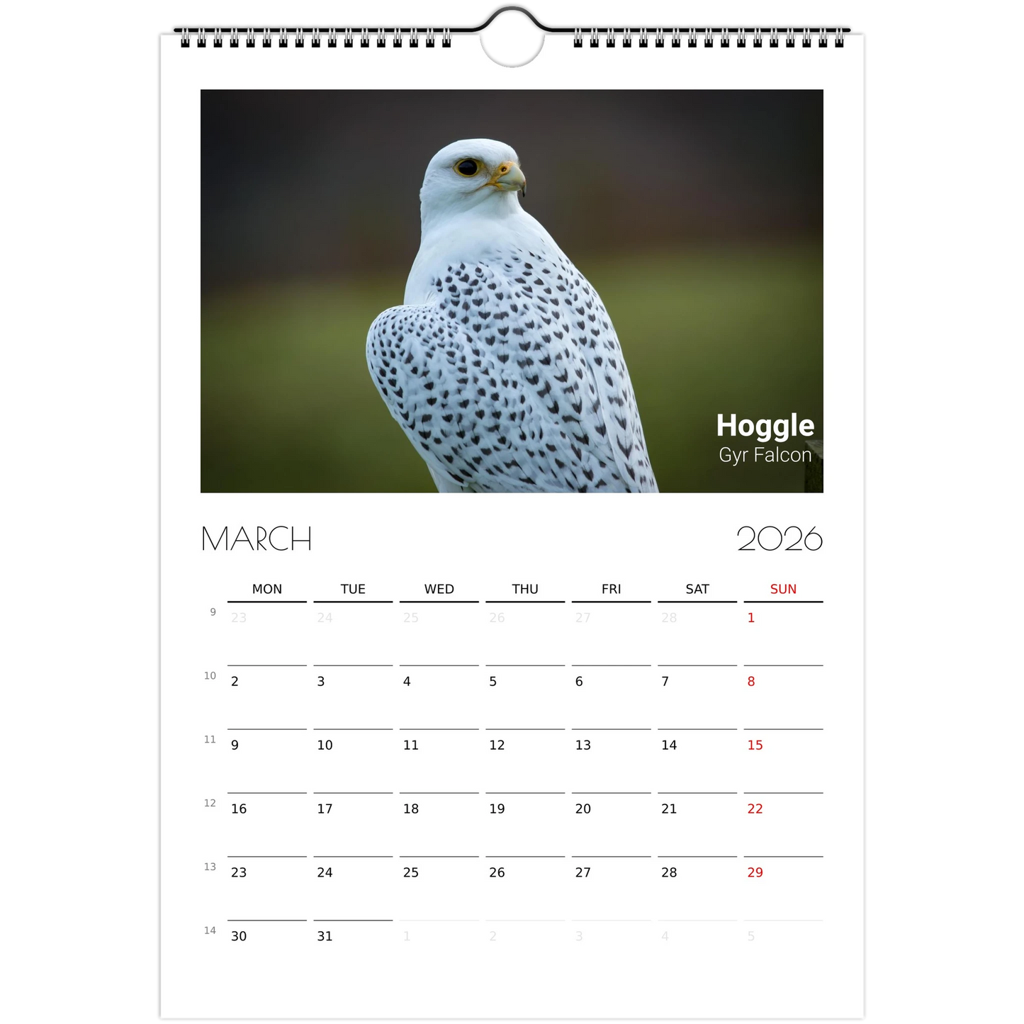 605b09c8-e606-4895-ae76-74b0b44a5f53