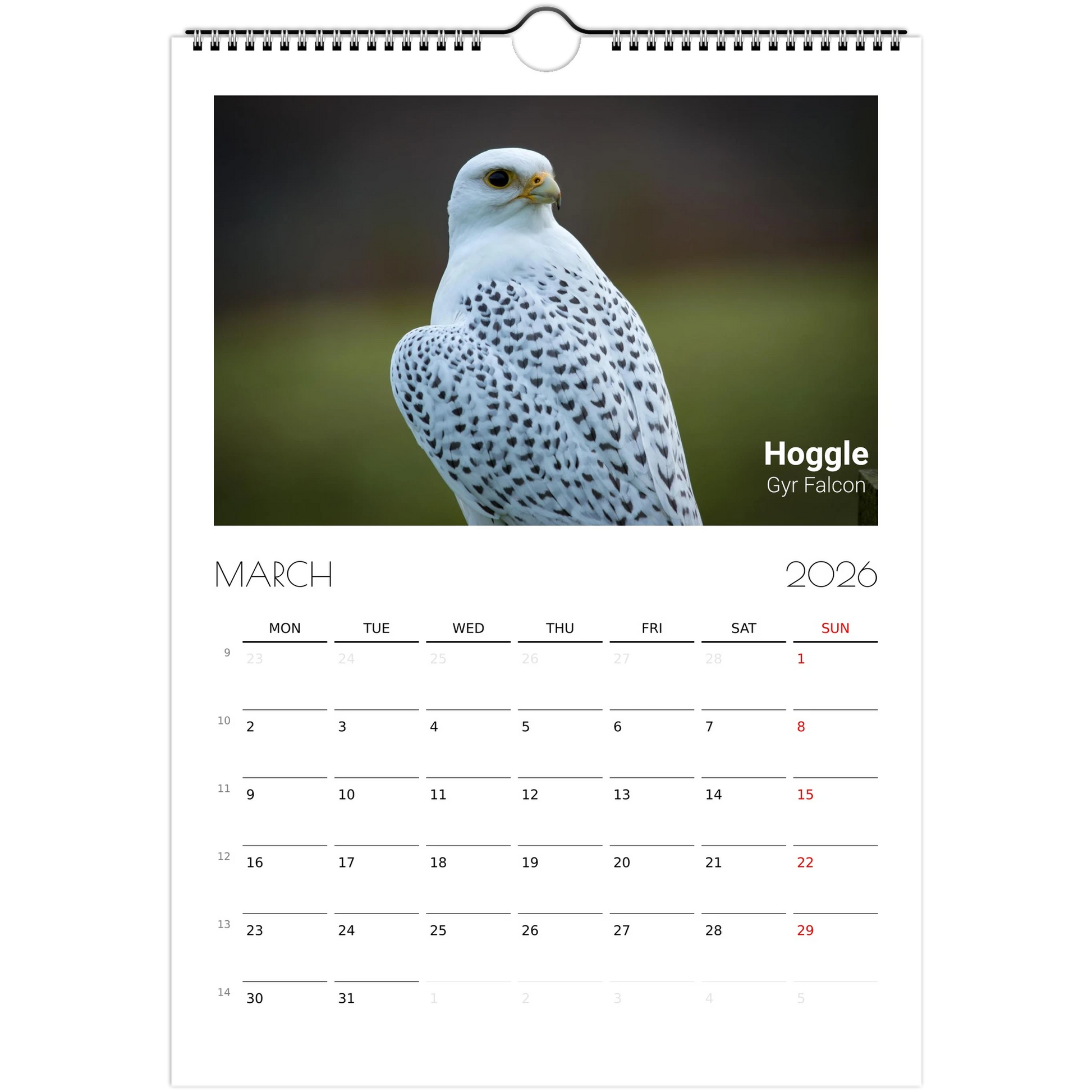 605b09c8-e606-4895-ae76-74b0b44a5f53