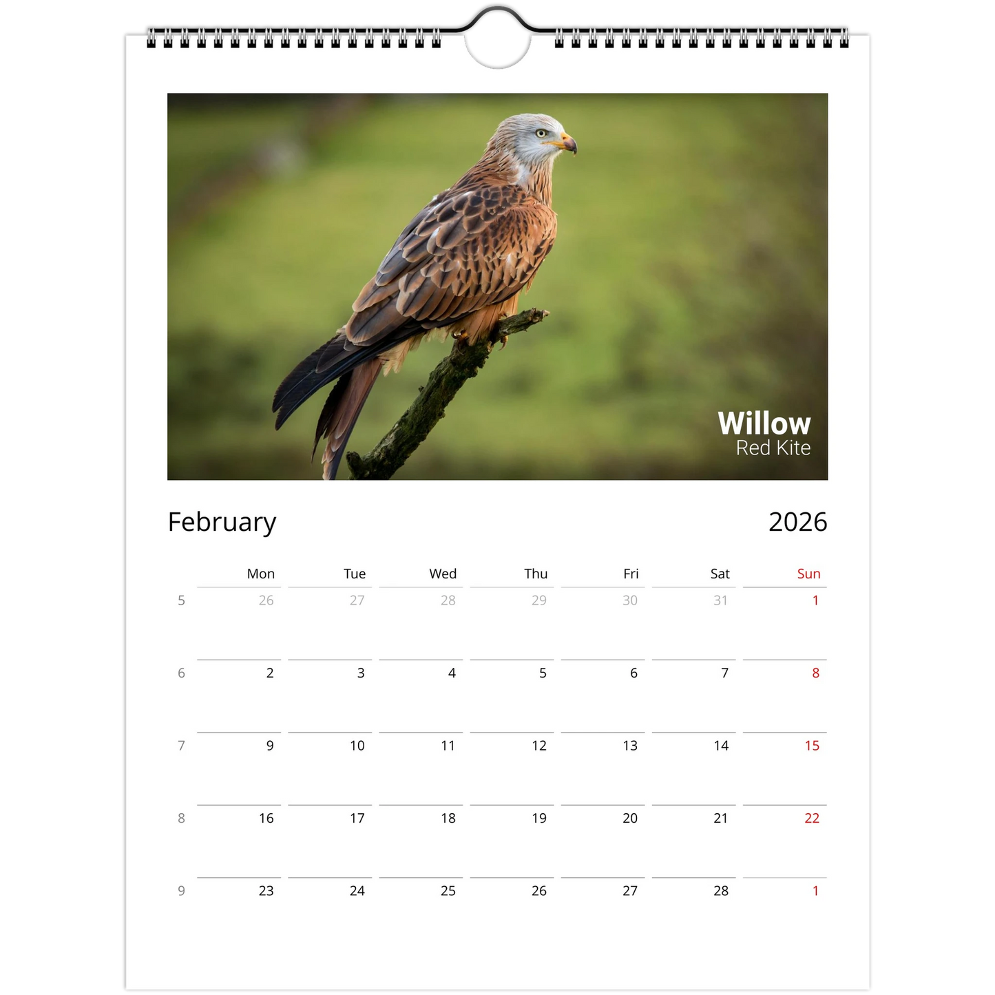 64dc3fbf-62e9-43fa-8cdf-576aaa5357b7