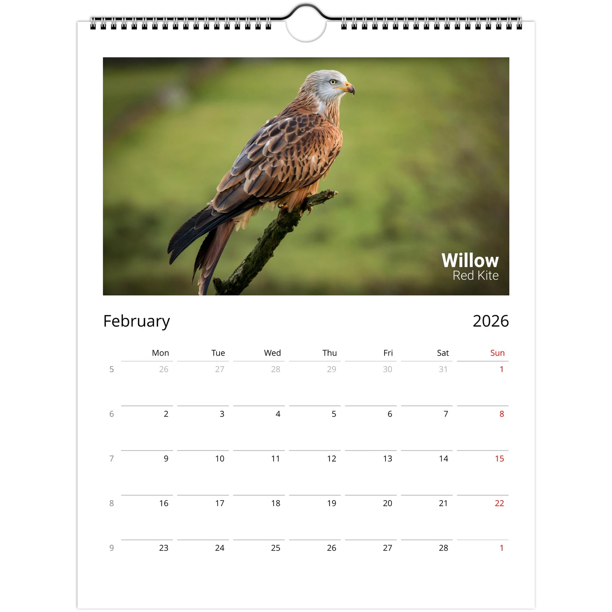 64dc3fbf-62e9-43fa-8cdf-576aaa5357b7