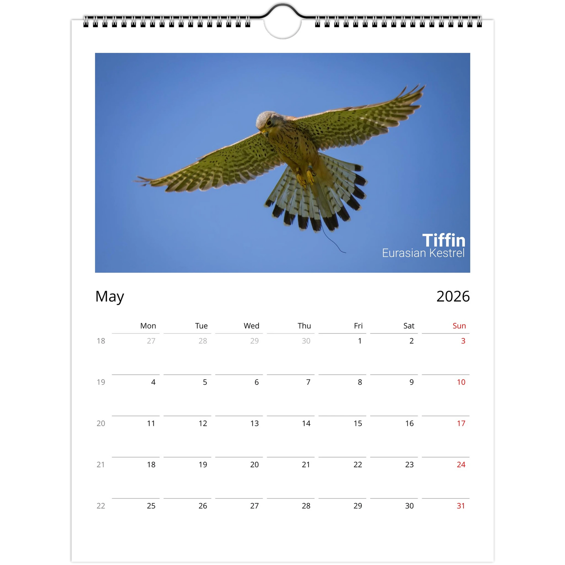 657705e9-4d04-43a9-b482-e217e66e3572