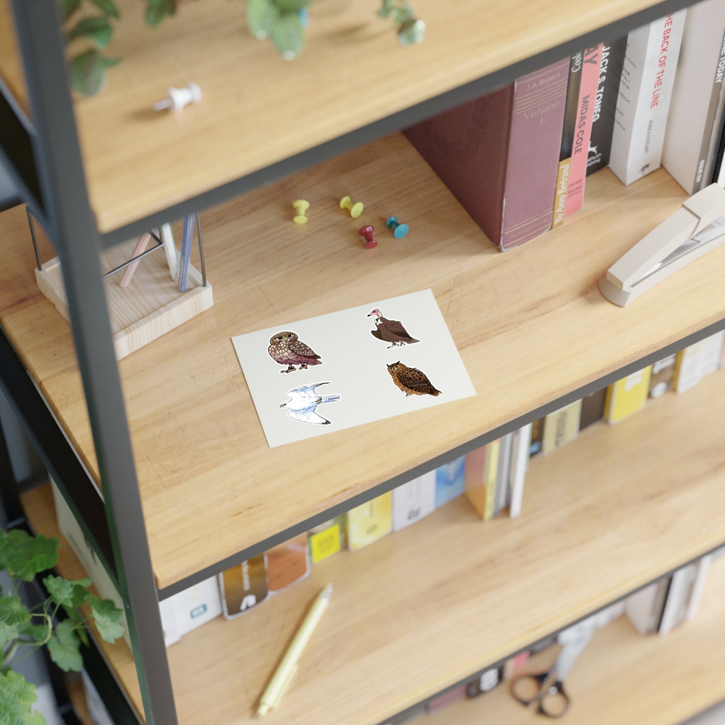 SMJ Falconry Sticker Sheets (Eagle Owl, Hooded Vulture, Little Owl and Gyr Falcon) Nameless