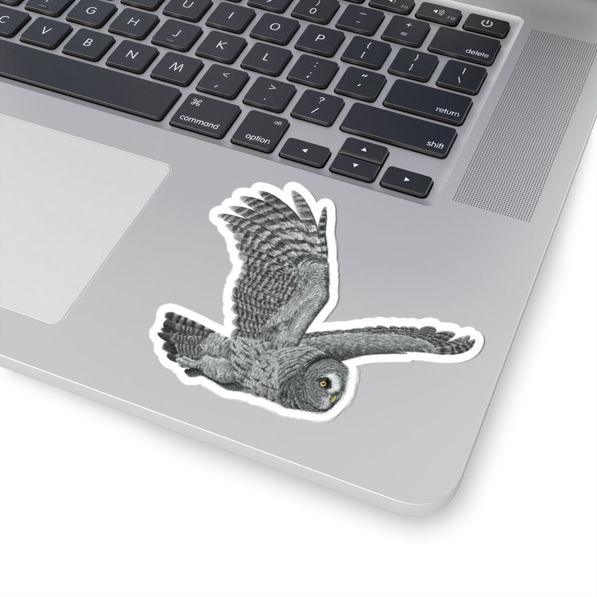 Earl - Great Grey Owl Kiss-cut Stickers! (SMJ Falconry)