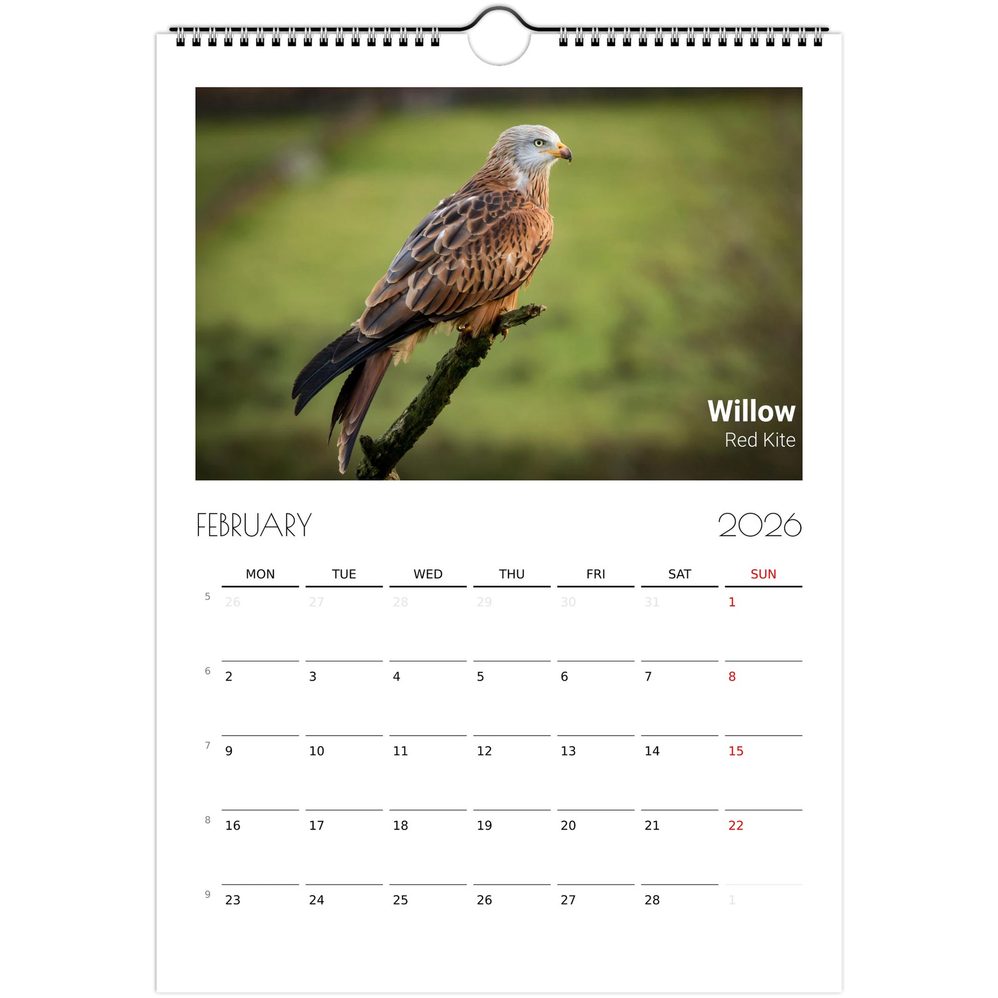 97b60179-1859-49cc-a32e-48c3f6d167f6