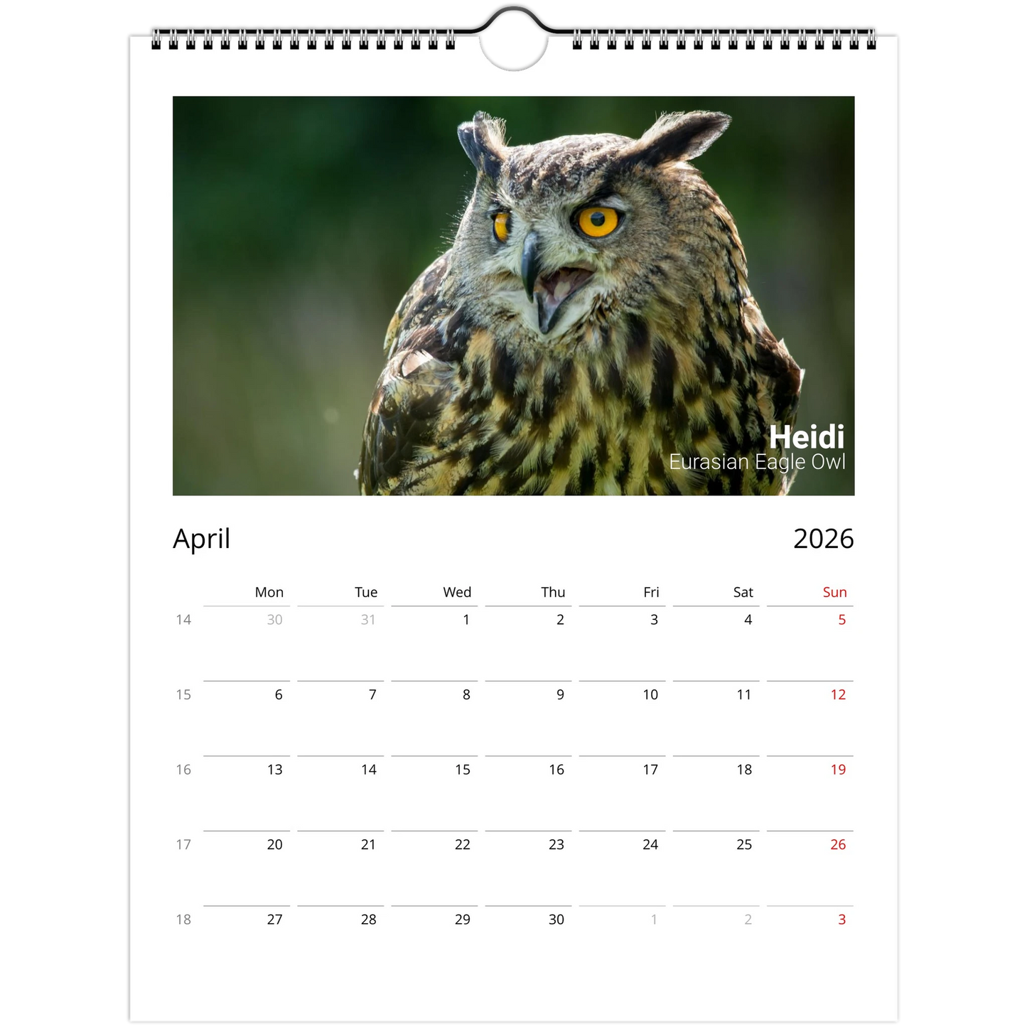 991c1cce-25e1-406b-a961-4573e0cb644e