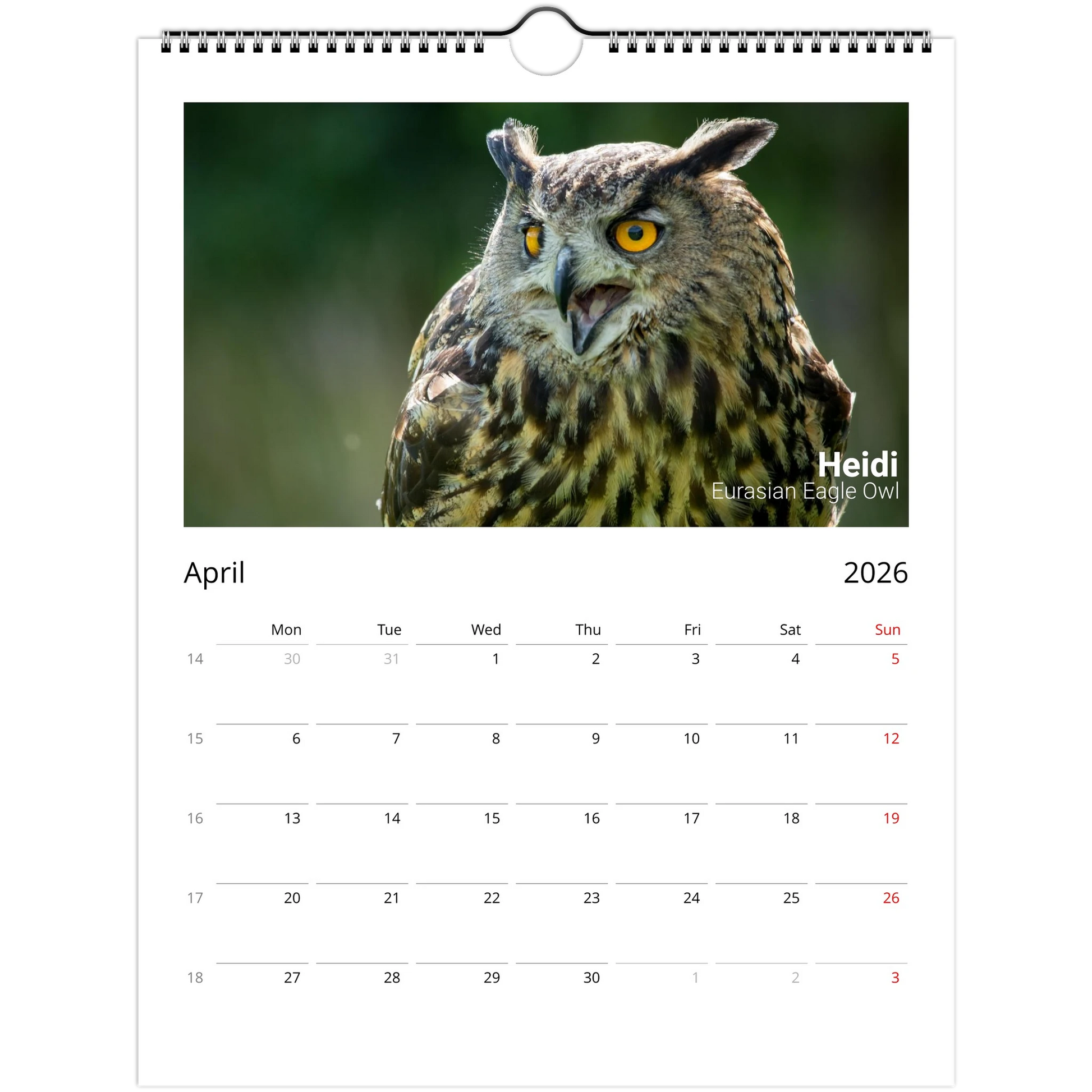 991c1cce-25e1-406b-a961-4573e0cb644e