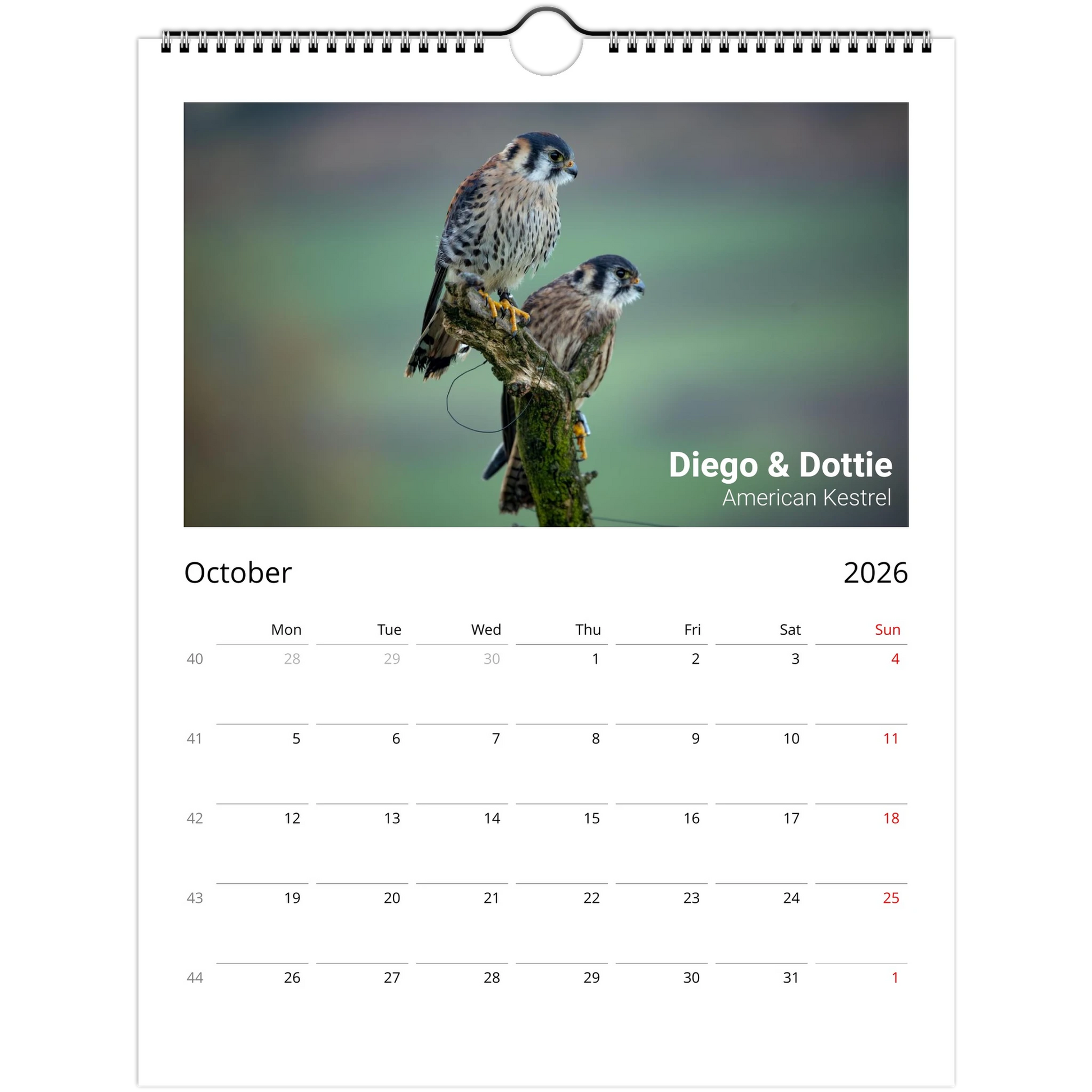 9bdd5c6c-e7d9-4570-a75b-1634f391d239