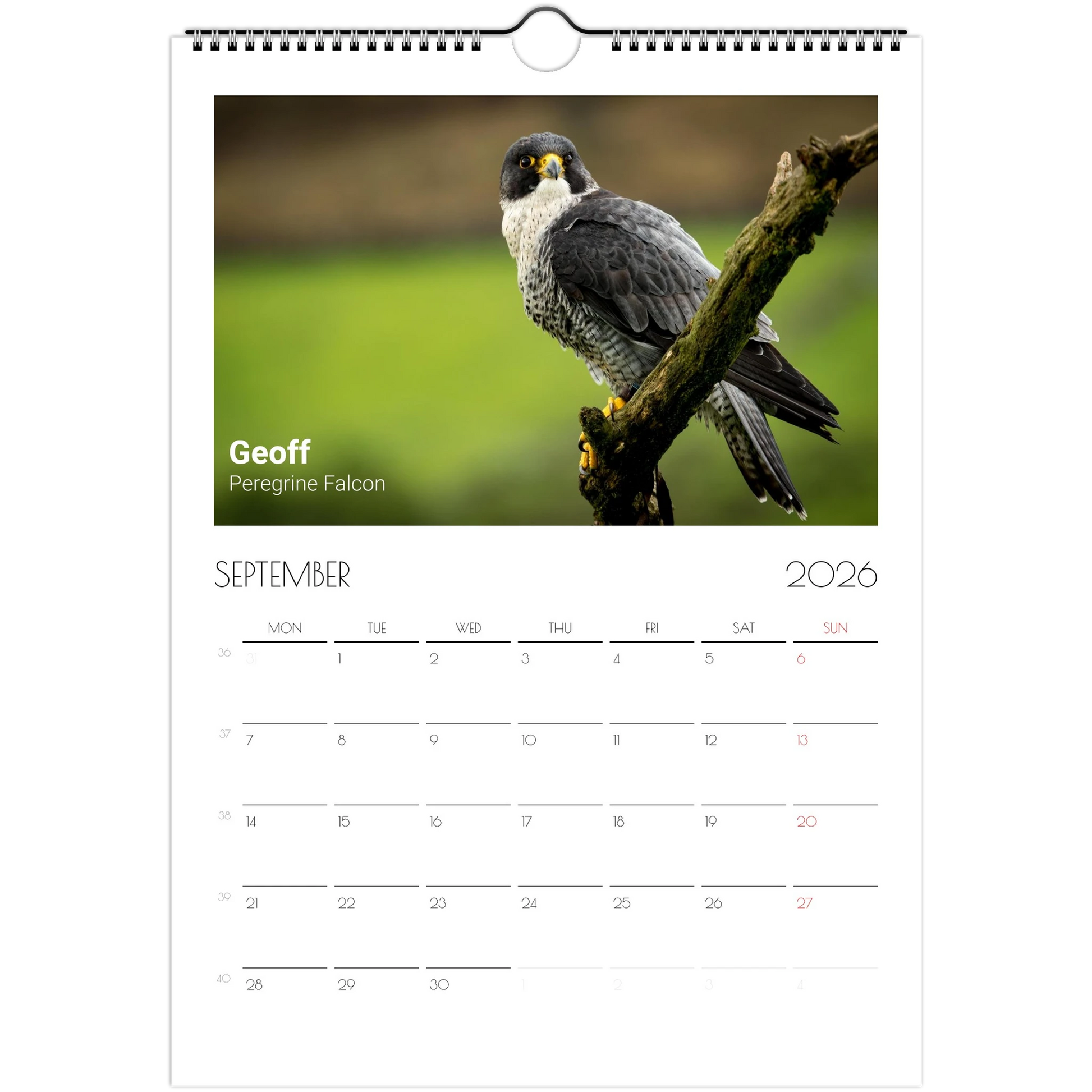 a2516c50-cd3a-43b0-be91-b1f045daed6a