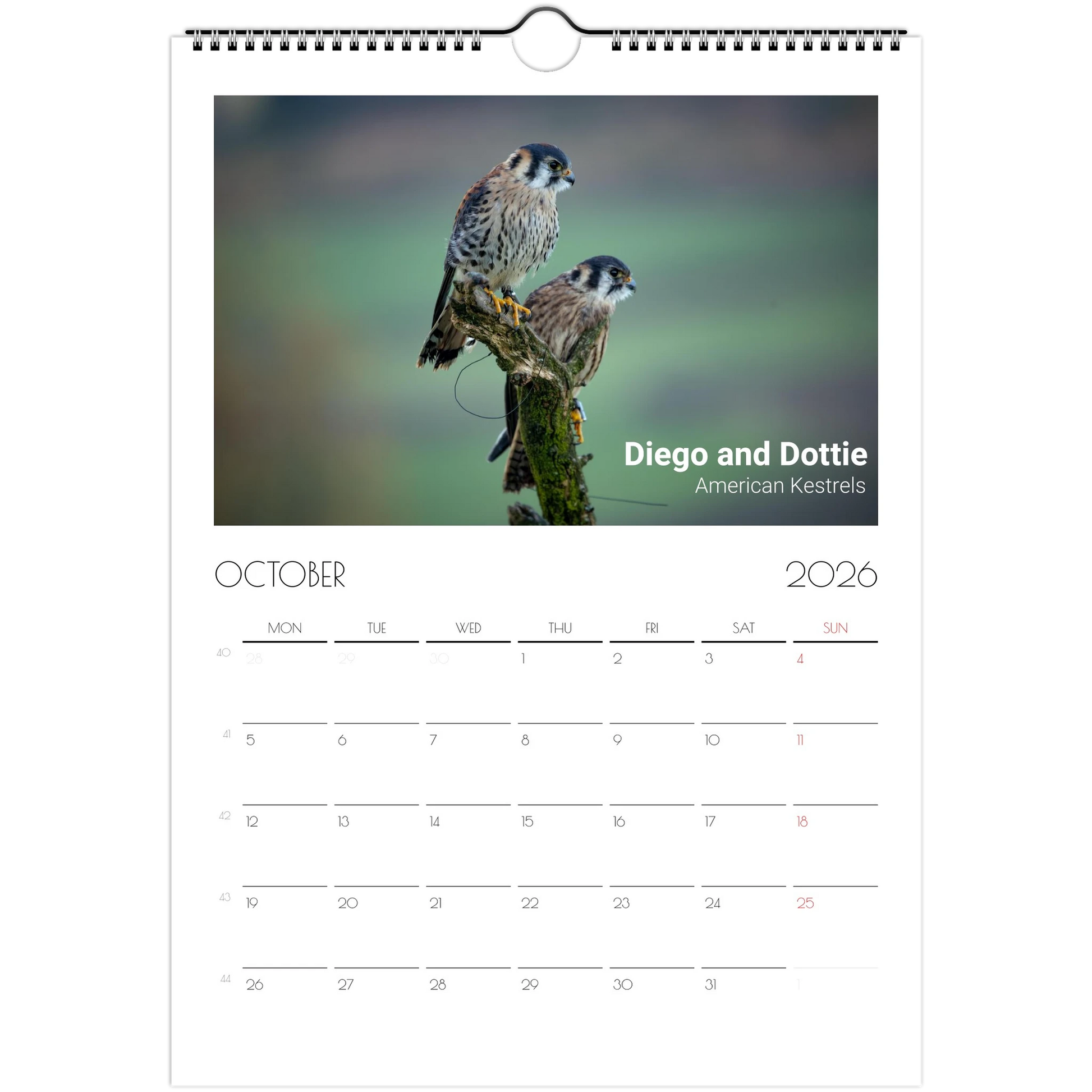 aa20115e-a33e-41c7-8f0d-922d45f3b9db