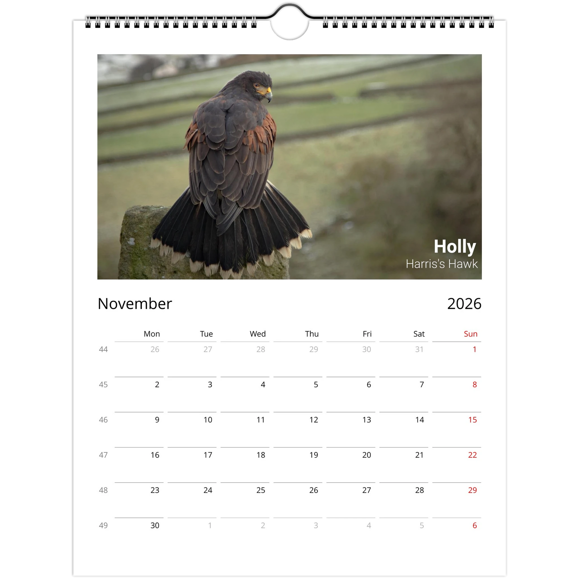 ac2208c9-1661-4dfb-b101-74a10a5a1517