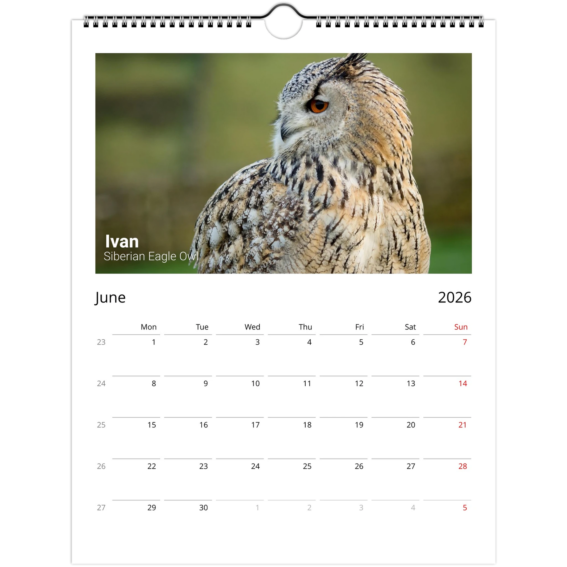 b59cf97b-e211-4824-a5a8-83202e4adfd8