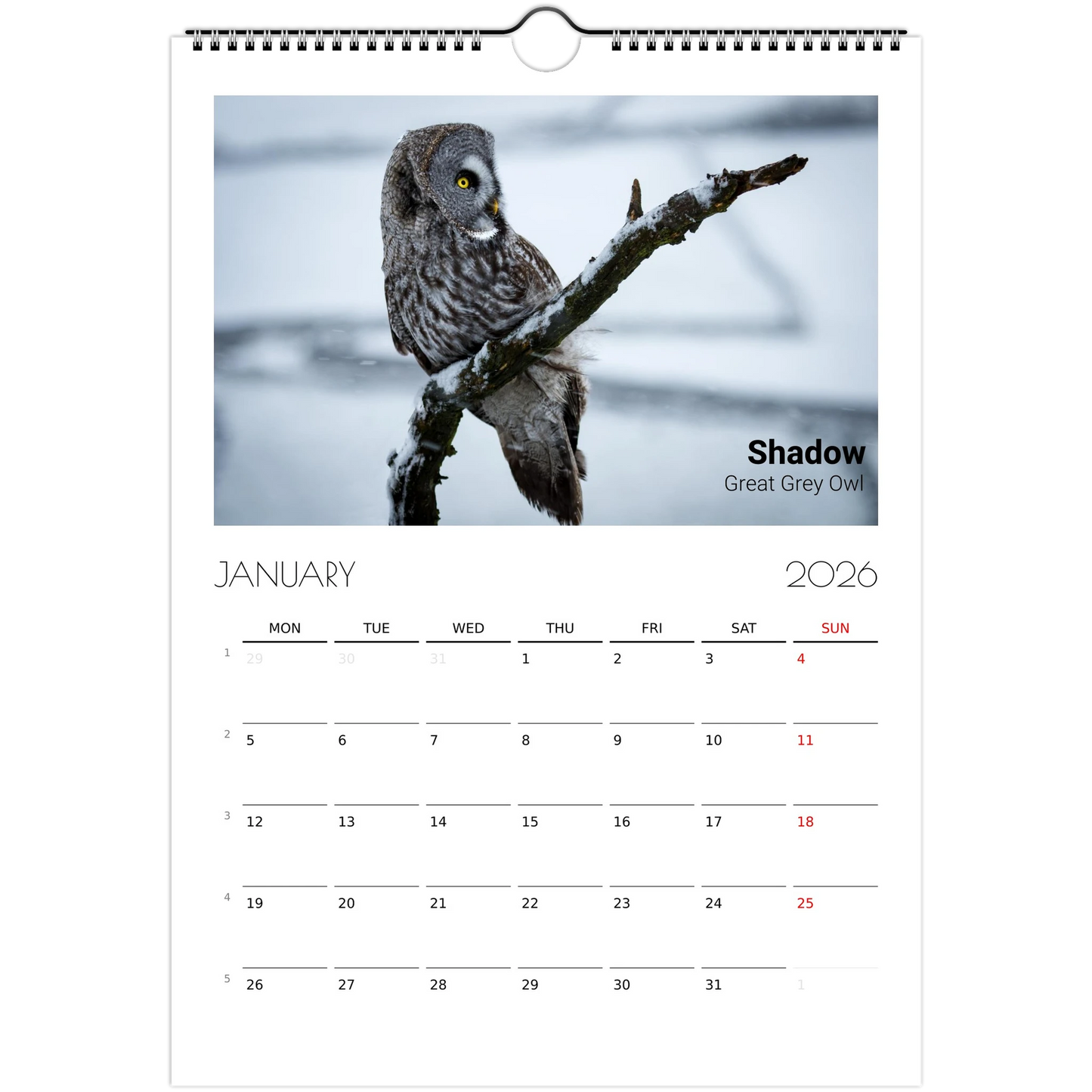 b8400979-f710-481b-8175-601dddd3f237