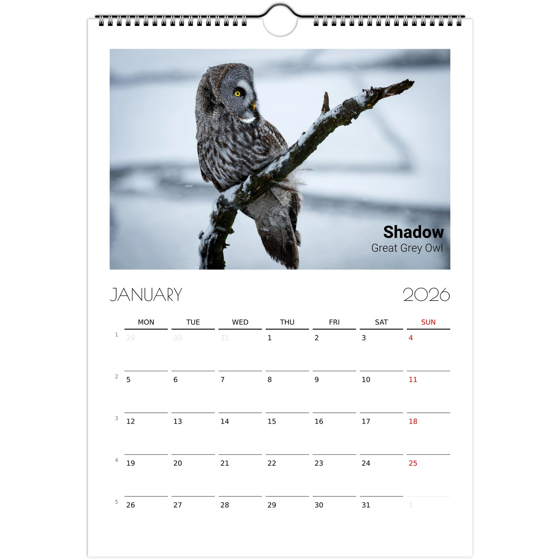 b8400979-f710-481b-8175-601dddd3f237