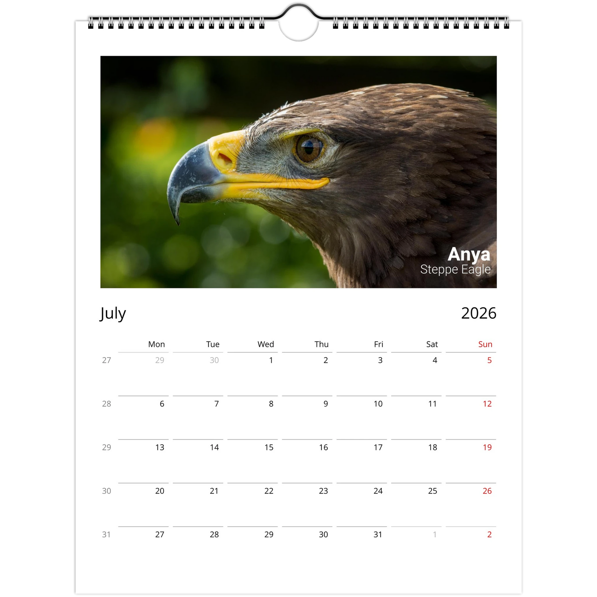 bfc32d4f-01ab-4017-aac1-c9109781caff