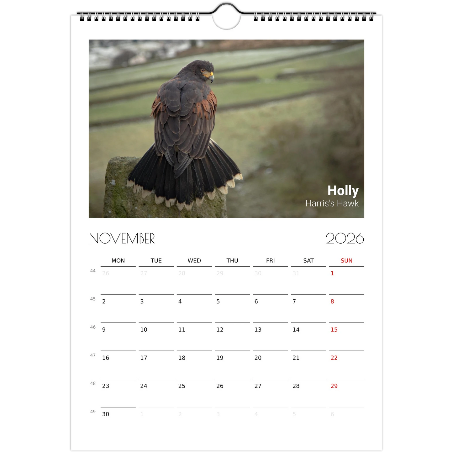 d096dc72-9d76-42d8-94e5-f9d8bd4174ae