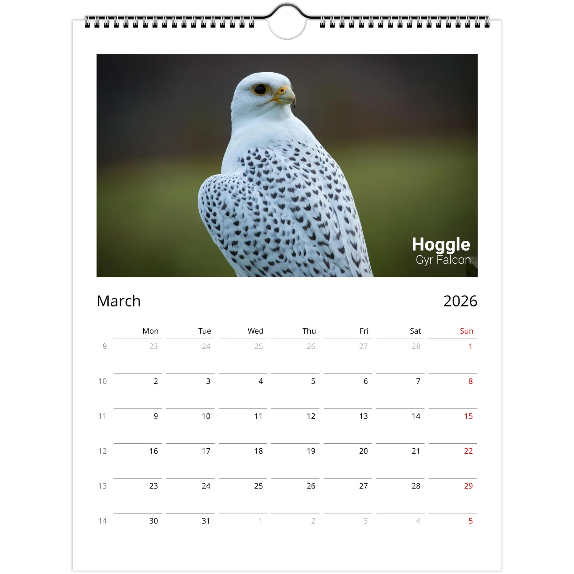 d777d92a-5e98-48f8-a9d0-ed19c0f62213