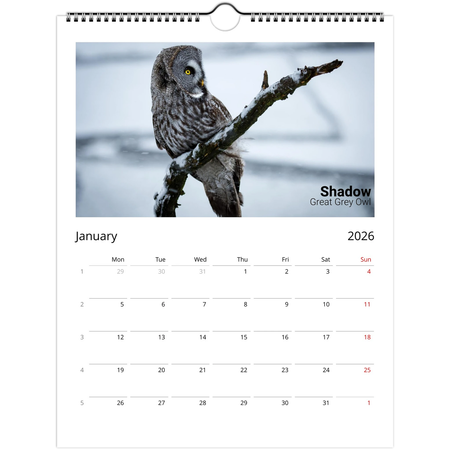 ddb78903-cc38-4e2c-8023-61c82b833493