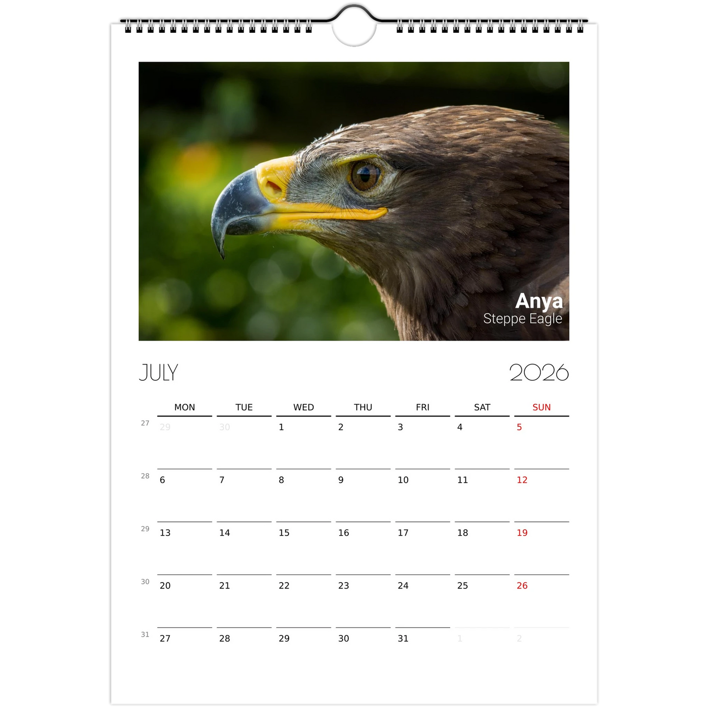 fa796865-ae15-444a-8203-a95a581ea07d