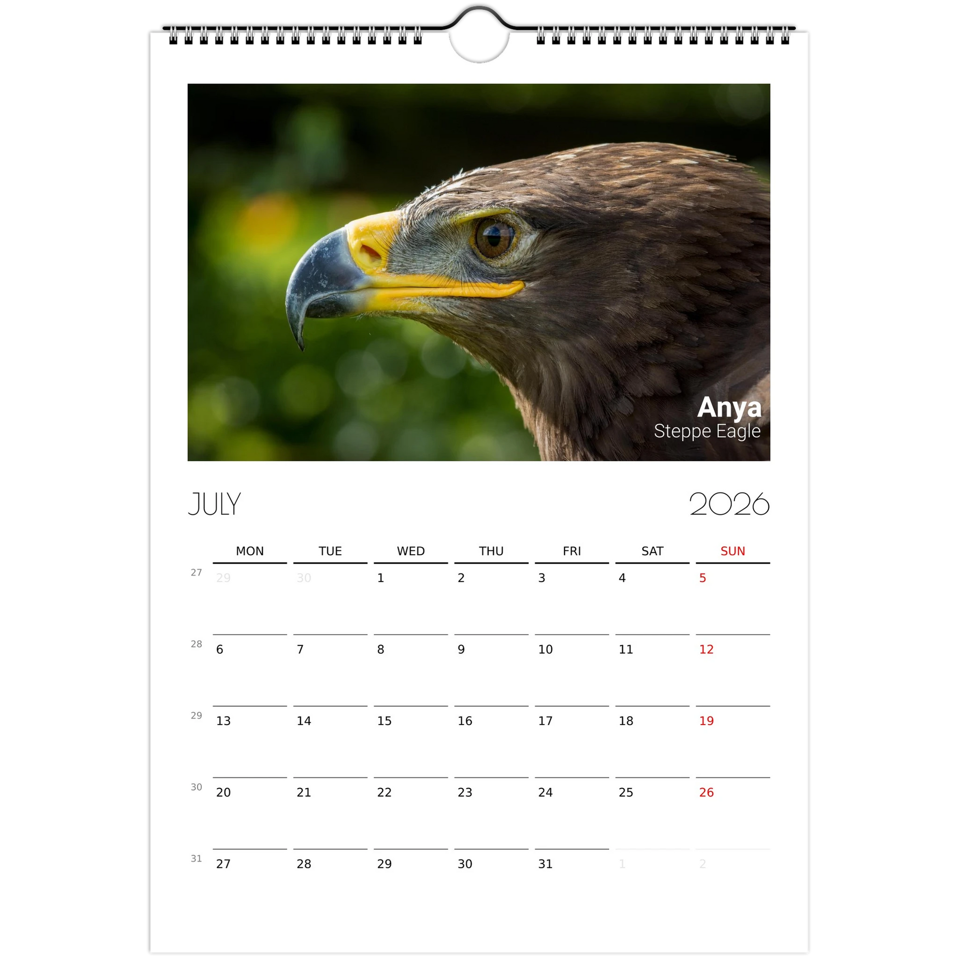 fa796865-ae15-444a-8203-a95a581ea07d